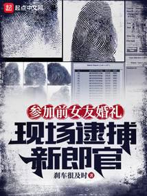 刑警日记2011电视剧